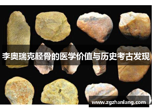 李奥瑞克胫骨的医学价值与历史考古发现