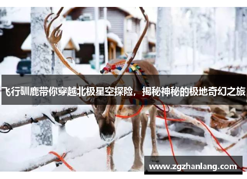 飞行驯鹿带你穿越北极星空探险，揭秘神秘的极地奇幻之旅